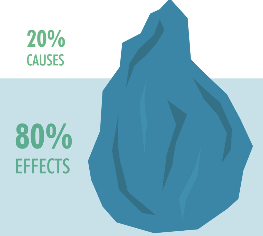 pareto principle